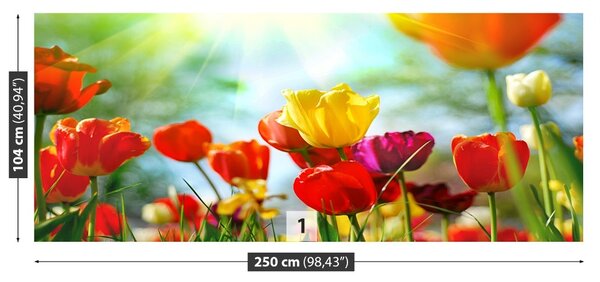 Fototapet Flori de lalele