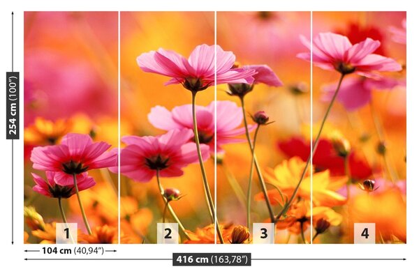 Fototapet Cosmos Garden