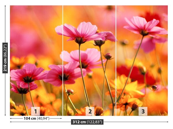 Fototapet Cosmos Garden