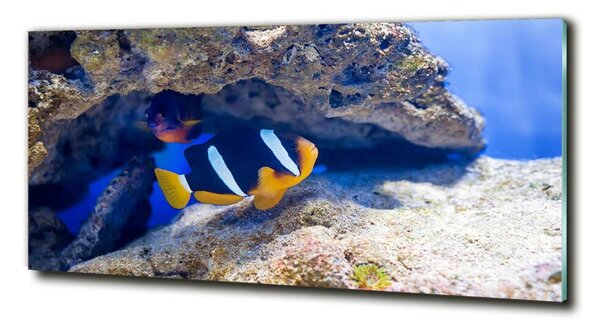 Fotografie imprimată pe sticlă Peste tropical