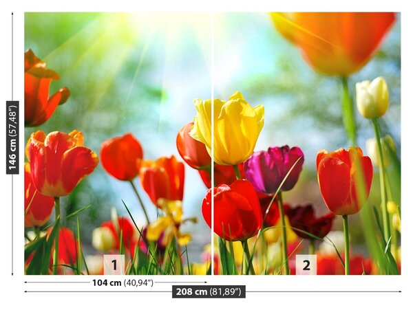 Fototapet Flori de lalele