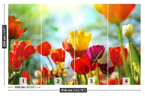 Fototapet Flori de lalele