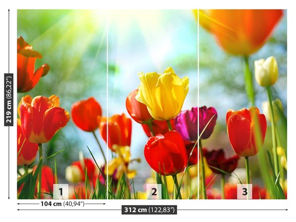 Fototapet Flori de lalele