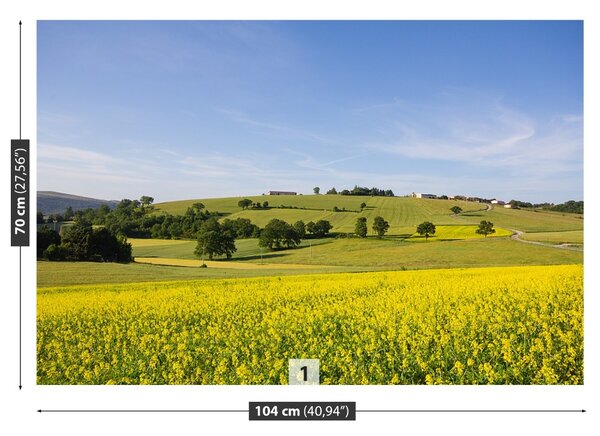 Fototapet înflorirea Linte
