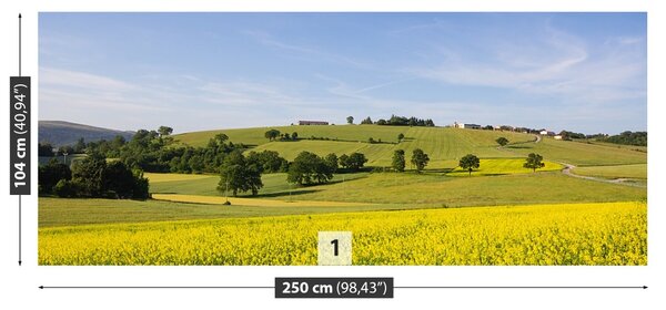 Fototapet înflorirea Linte
