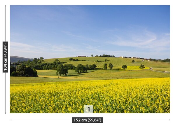 Fototapet înflorirea Linte