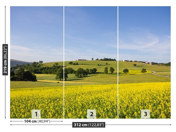 Fototapet înflorirea Linte