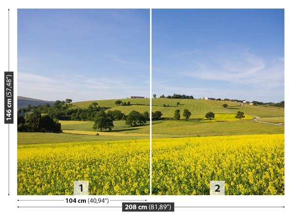 Fototapet înflorirea Linte