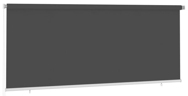 Jaluzea tip rulou de exterior, negru, 350x140 cm