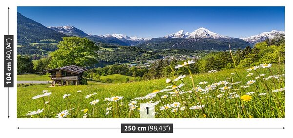 Fototapet Munții Bavaria