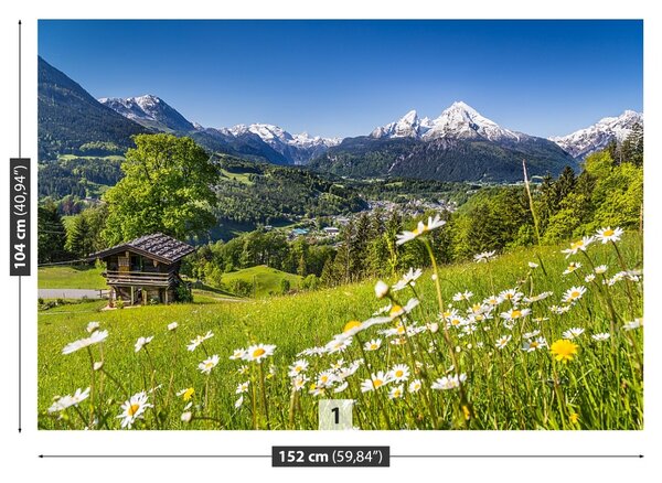 Fototapet Munții Bavaria