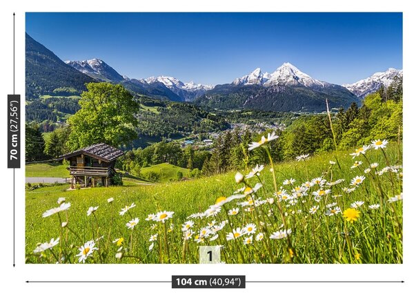 Fototapet Munții Bavaria