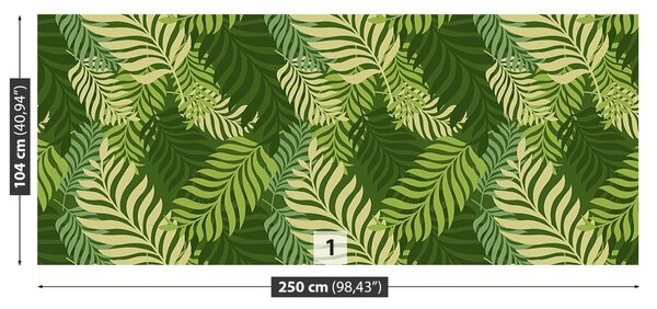 Fototapet Frunze de palmier