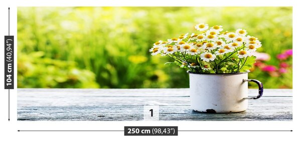 Fototapet Daisy Flori