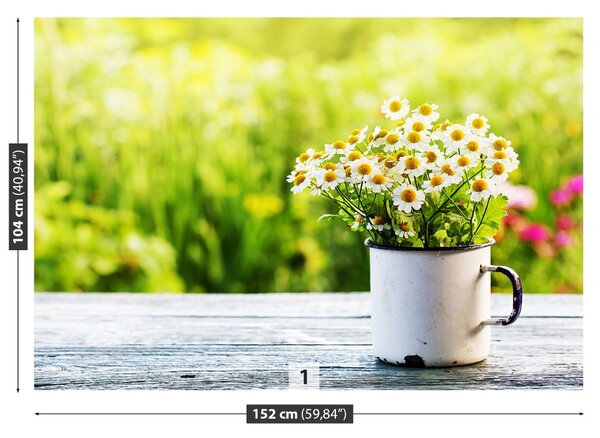 Fototapet Daisy Flori