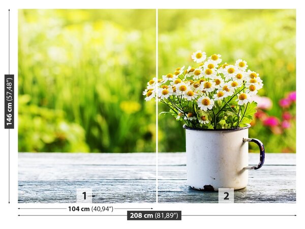 Fototapet Daisy Flori