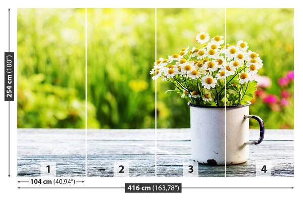 Fototapet Daisy Flori