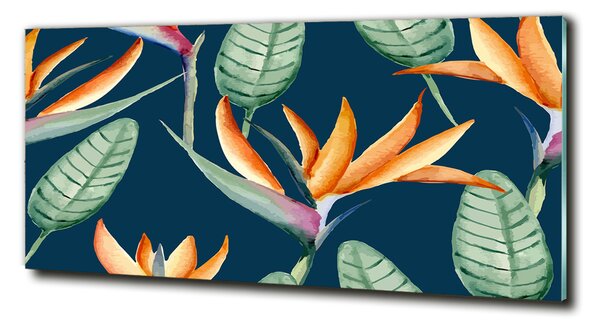 Tablou pe pe sticlă Strelitzia reginae