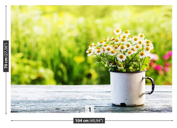 Fototapet Daisy Flori