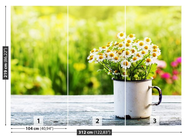 Fototapet Daisy Flori