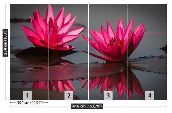 Fototapet Pink nuferilor