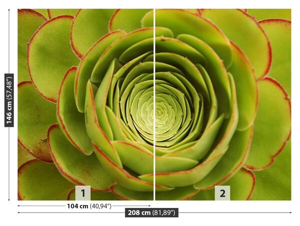 Fototapet Green Flower