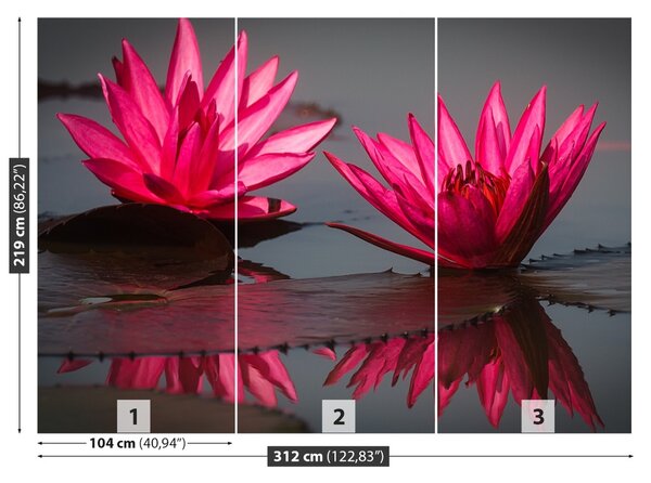 Fototapet Pink nuferilor