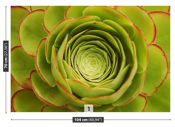 Fototapet Green Flower