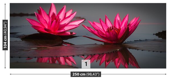 Fototapet Pink nuferilor