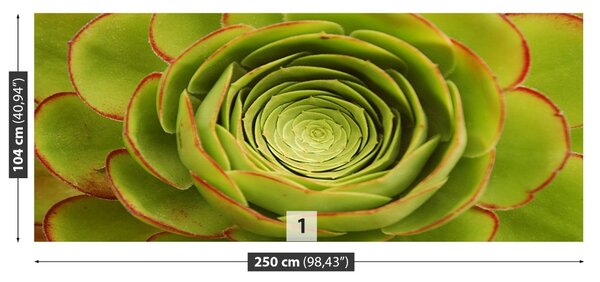 Fototapet Green Flower