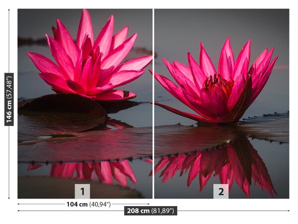 Fototapet Pink nuferilor