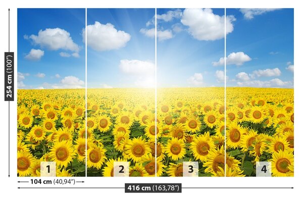Fototapet Domeniu de Sunflowers