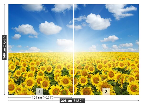 Fototapet Domeniu de Sunflowers