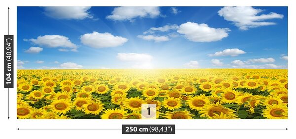 Fototapet Domeniu de Sunflowers