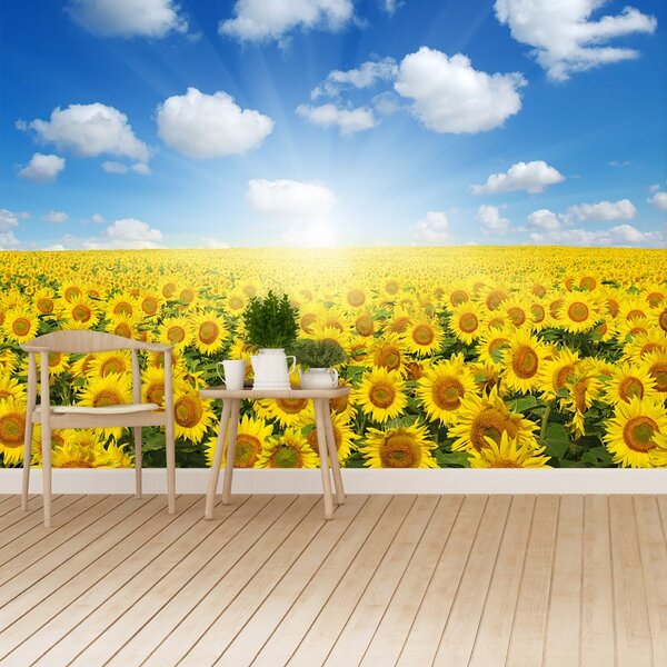 Fototapet Domeniu de Sunflowers