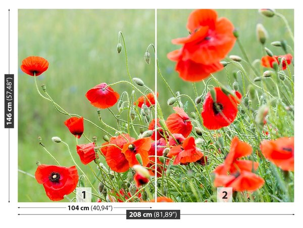 Fototapet Domeniu de Maci