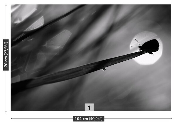 Fototapet Fluture