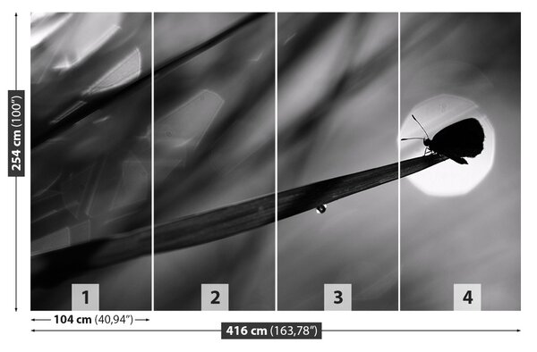 Fototapet Fluture