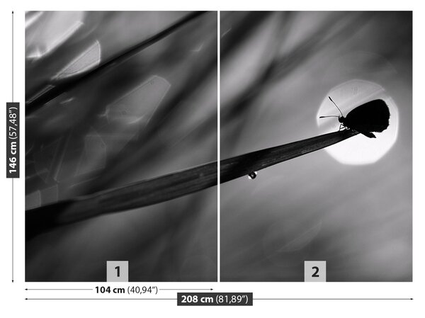 Fototapet Fluture