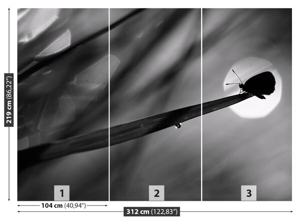 Fototapet Fluture
