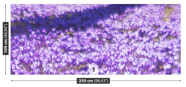 Fototapet Violet Flori