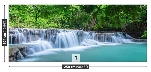 Fototapet Pădure Cascada