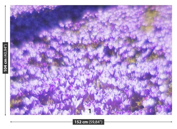 Fototapet Violet Flori