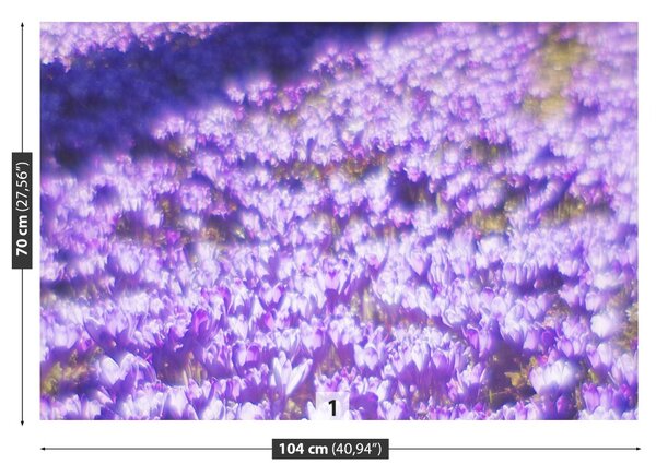 Fototapet Violet Flori