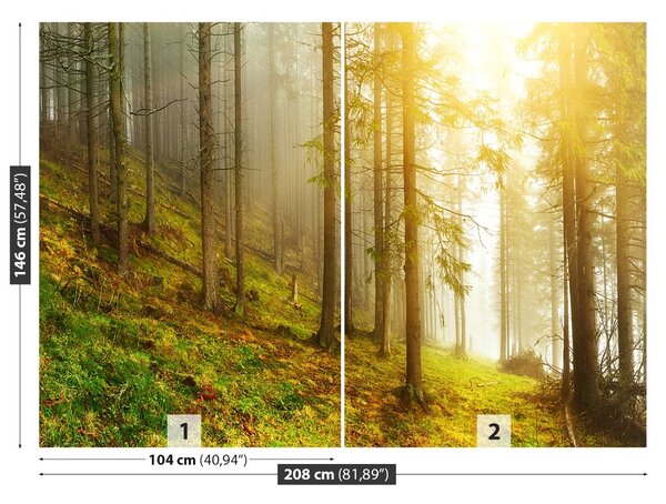 Fototapet pădure