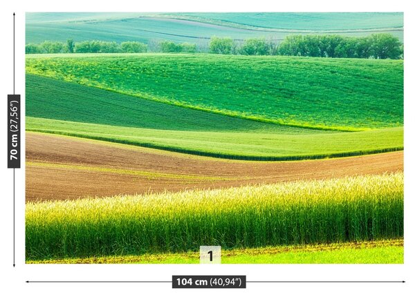 Fototapet Peisaj rural