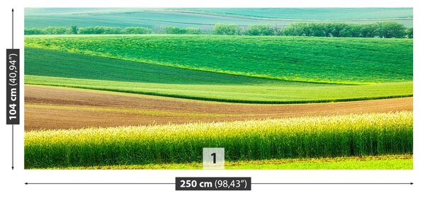 Fototapet Peisaj rural