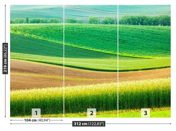 Fototapet Peisaj rural
