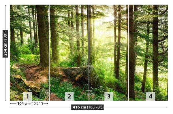 Fototapet Misty Forest