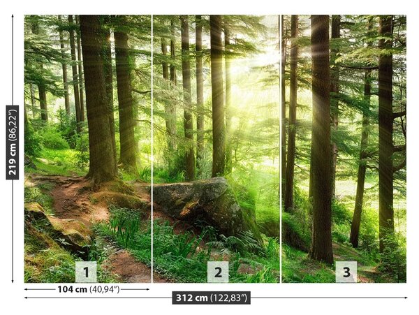 Fototapet Misty Forest